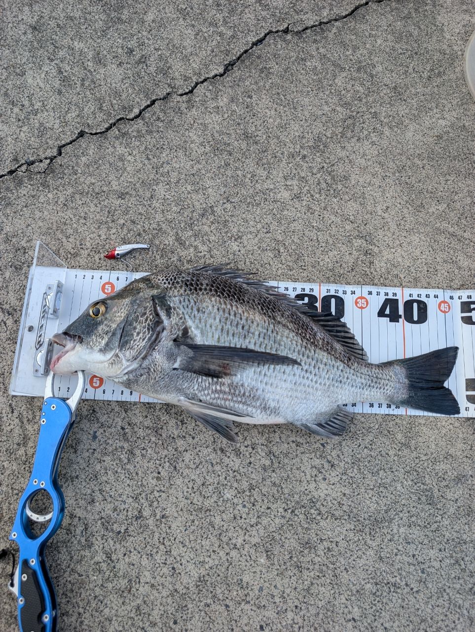 ルナミス 106Mhs SHao. Pre-Order Shimano 20 Lunamis S106MH – JDM TACKLE HEAVEN