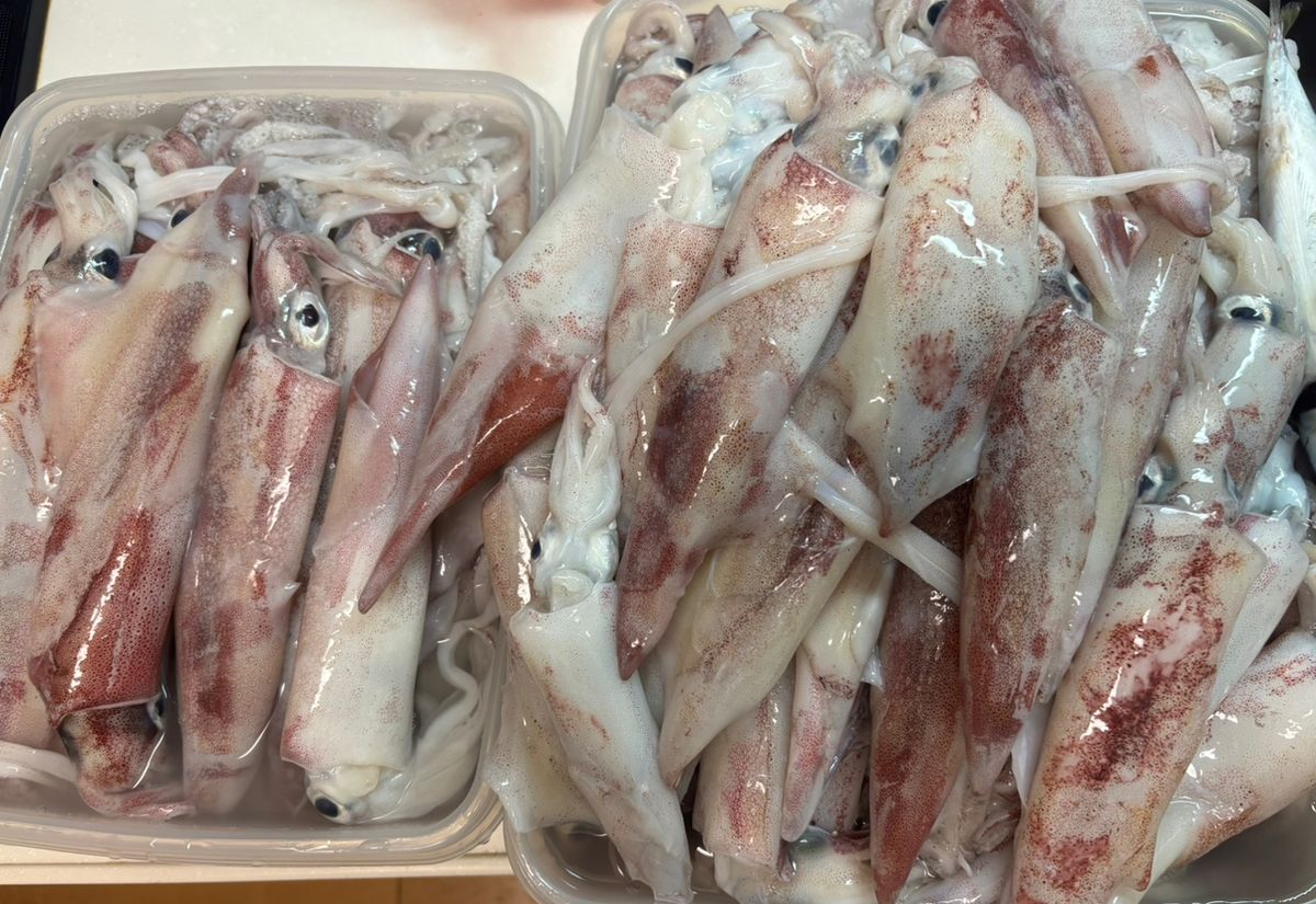 e.yさんの釣果 2枚目の画像