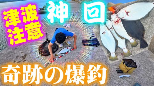 ヒラメの釣果