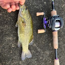 スモールマウスバス