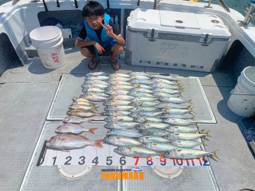 サバの釣果
