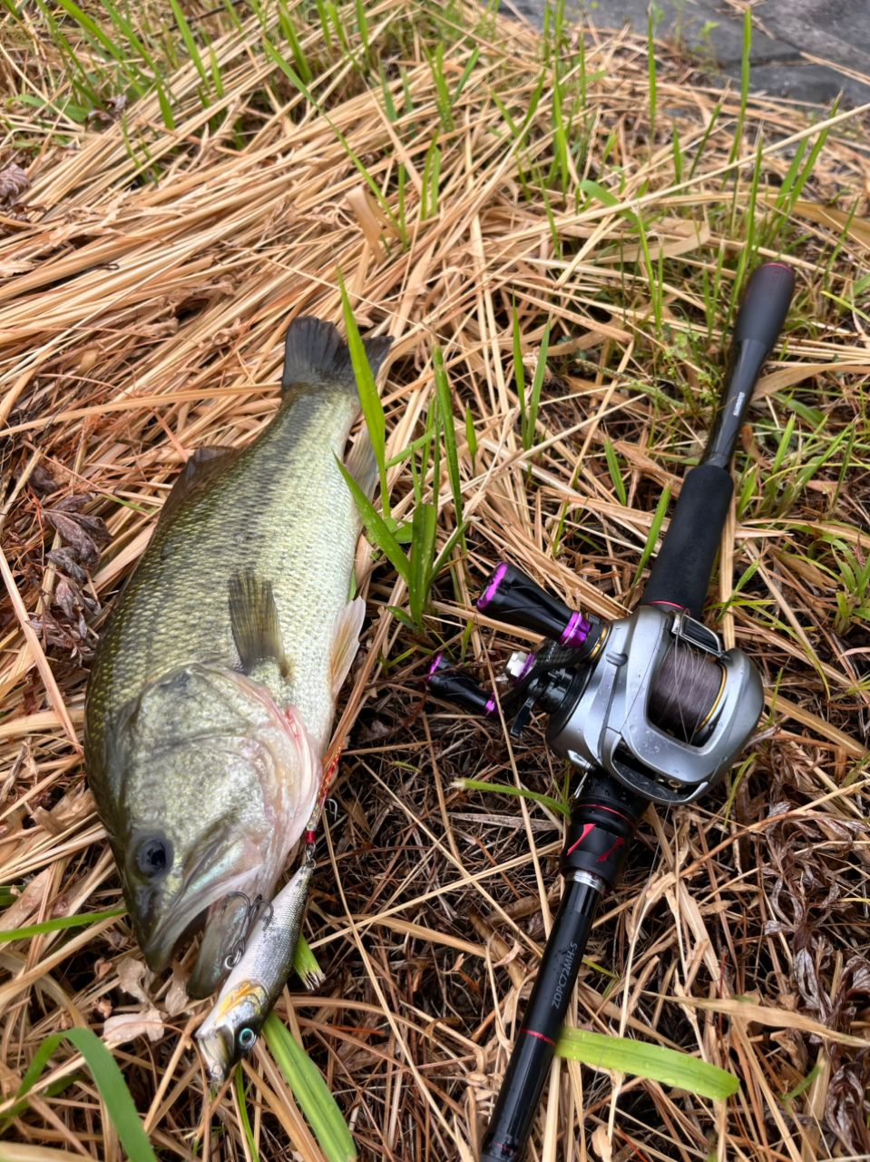 SHIMANO - 【中古】 シマノ 21 ゾディアス C72MH-5   /P200M シマノ 21 ゾディアス C72MH-5 /P200M ブラックバス バス バス