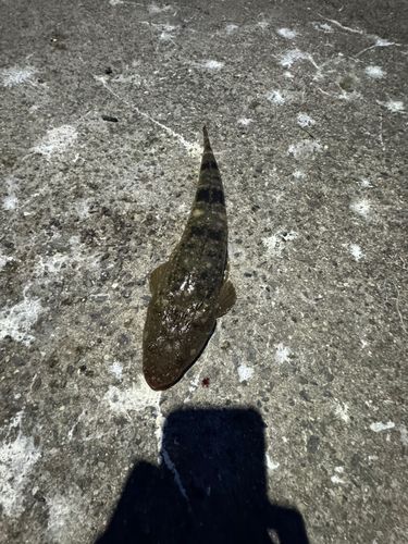 上の浜港
