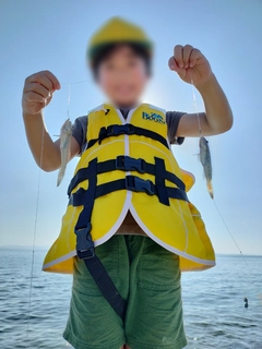 ハゼの釣果
