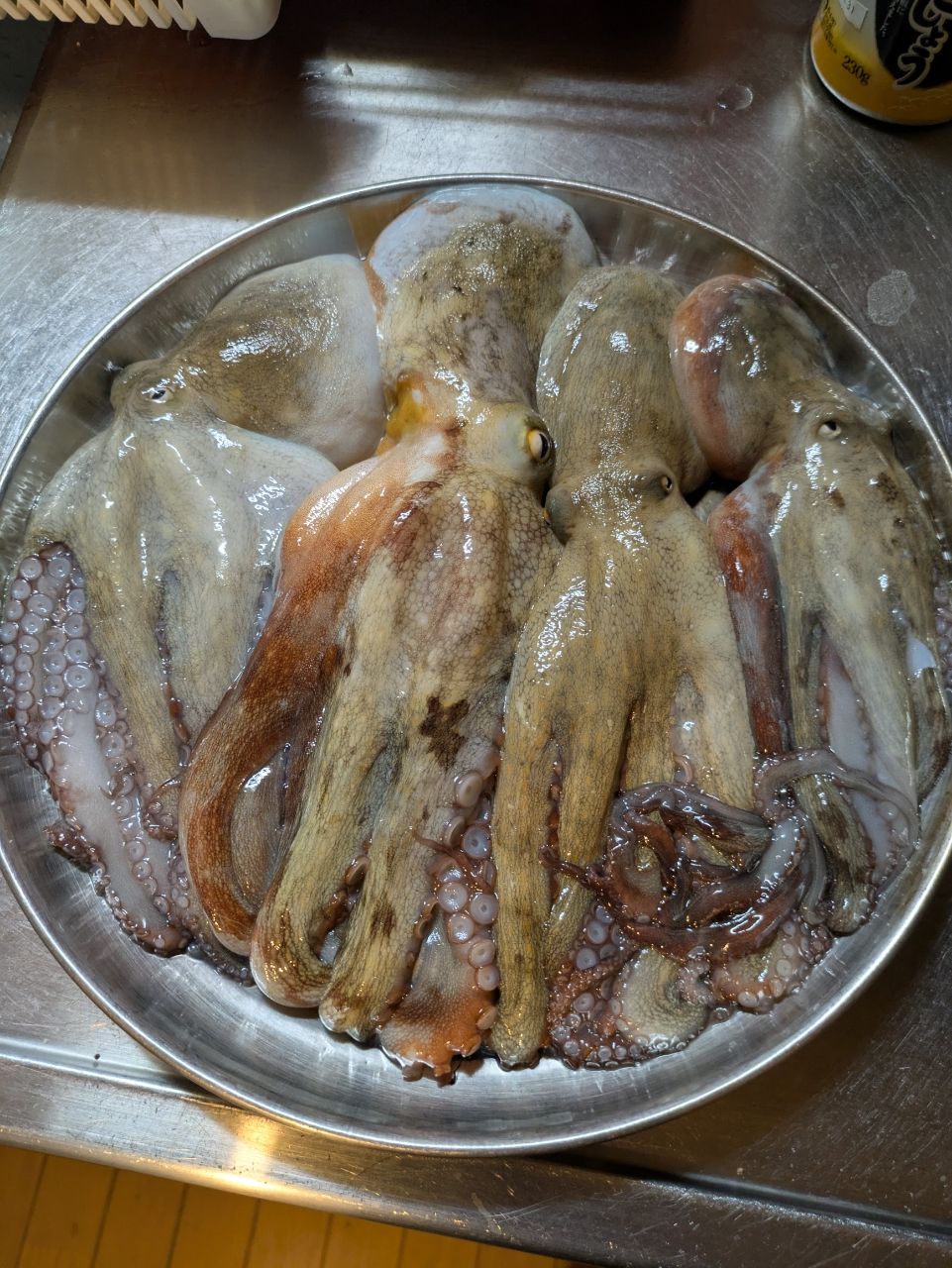 まぶ〜さんの釣果 1枚目の画像
