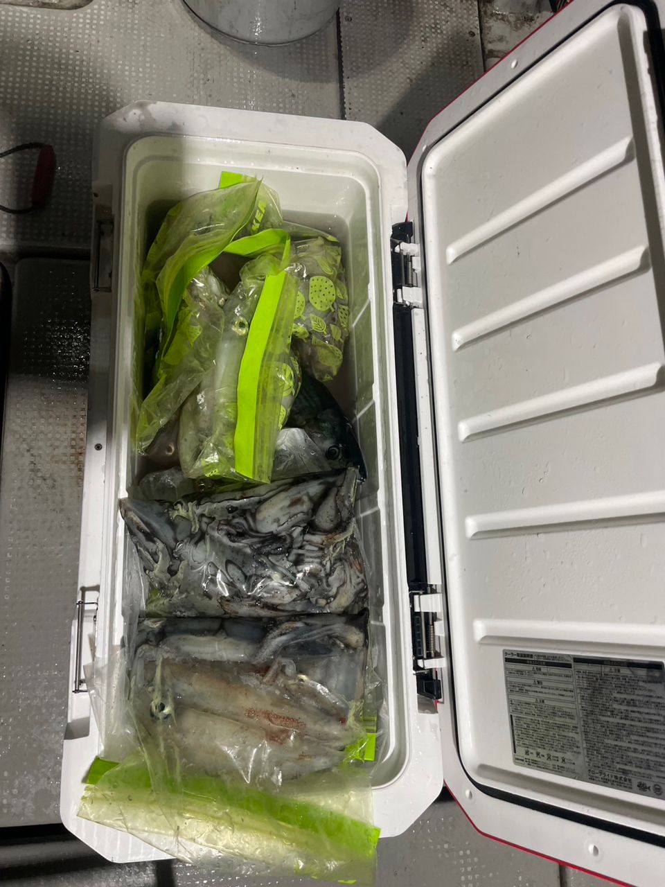 田畑良朗@なつき丸さんの釣果 2枚目の画像