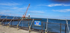 マハゼの釣果
