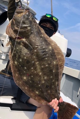 ヒラメの釣果