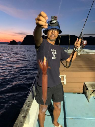 ケンサキイカの釣果
