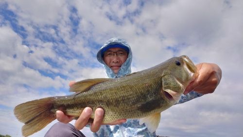 ラージマウスバスの釣果