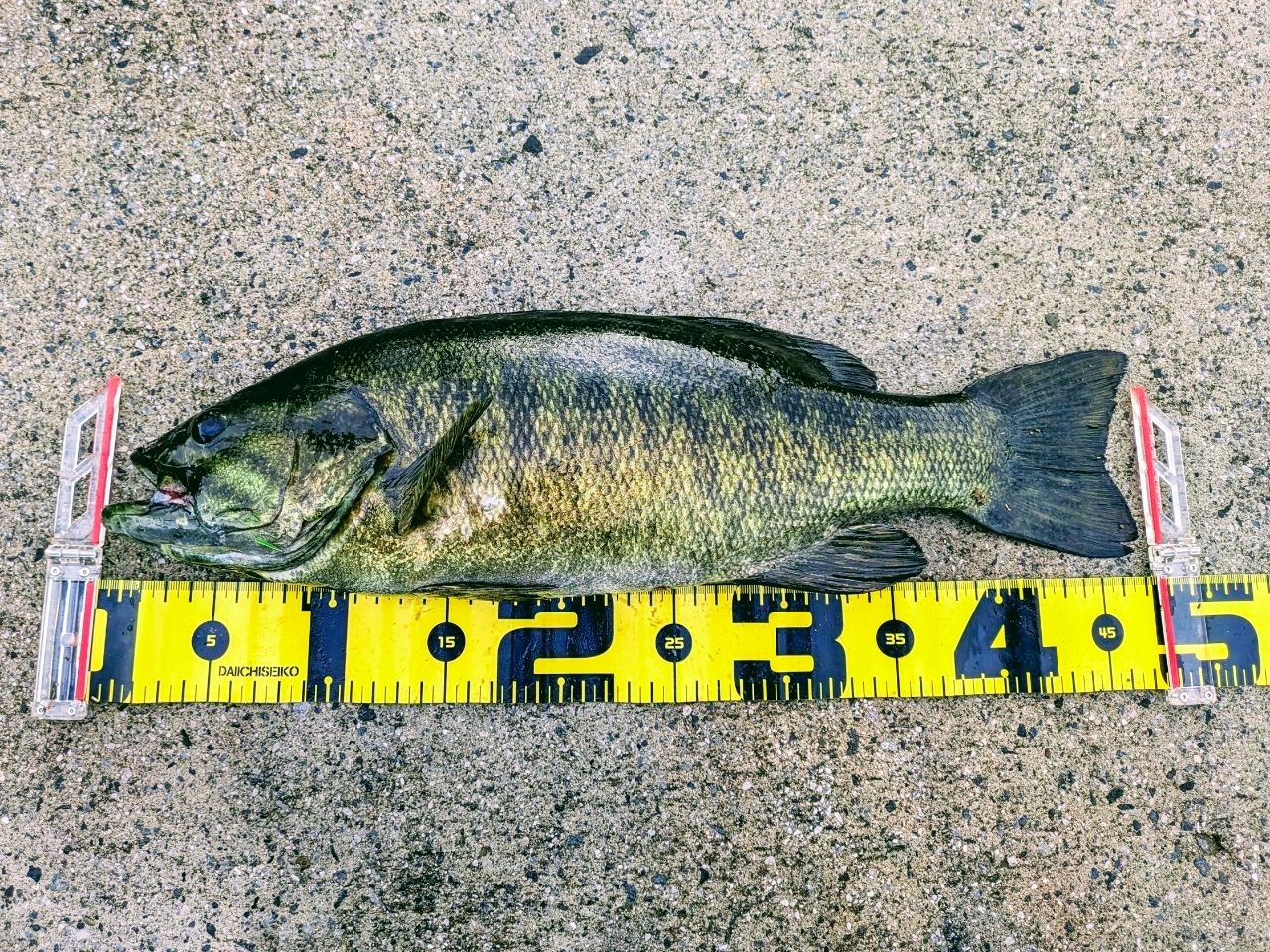 tailwalk アウトバック ビヨンド S8107MLの最安値・インプレ・釣果