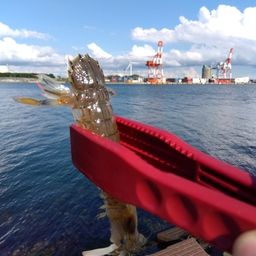 シャコ