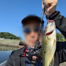 ブラックバス