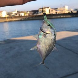 メッキ