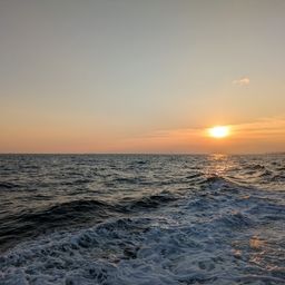 タチウオ