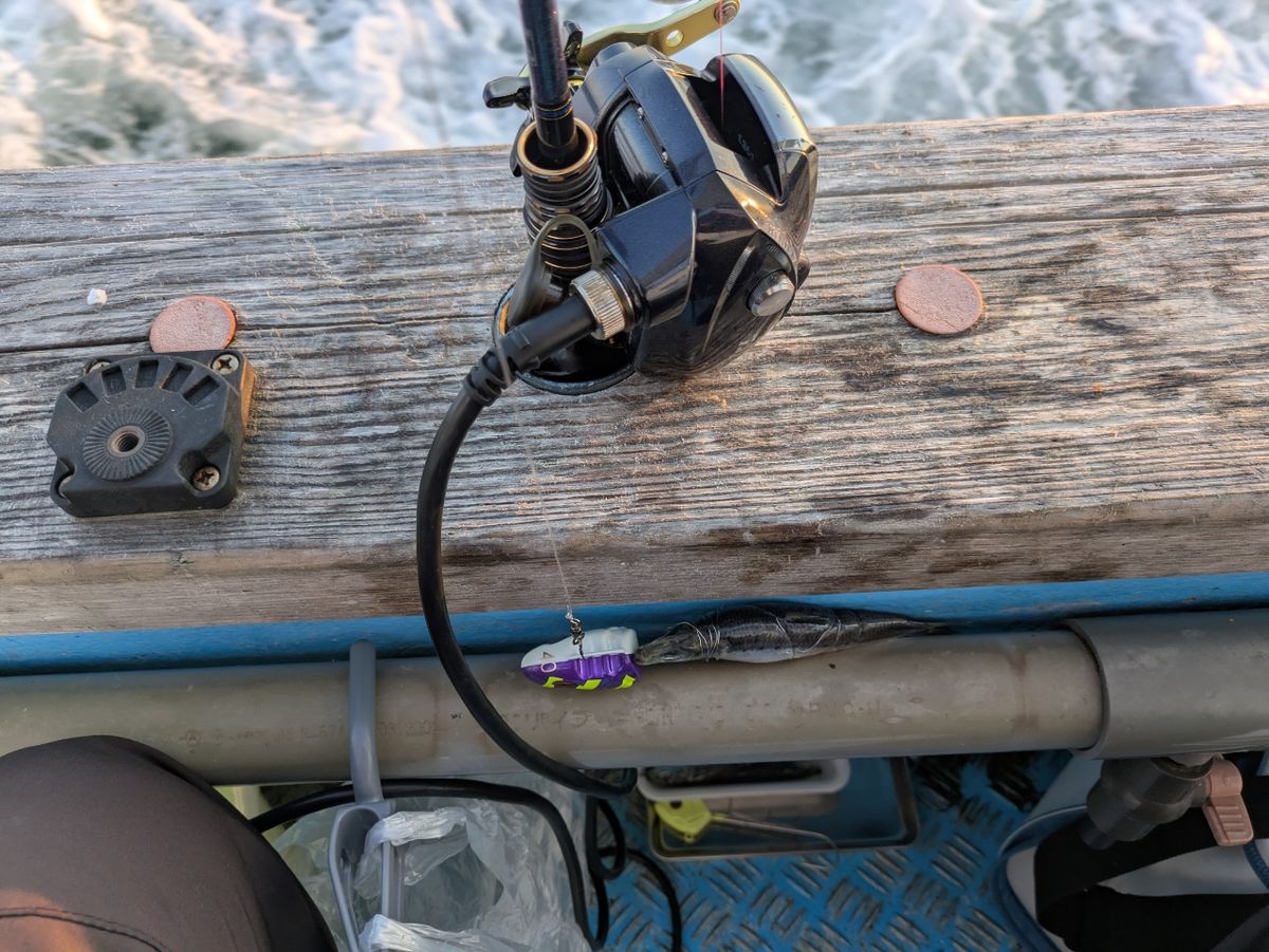 そろそろ釣れるさんの釣果 2枚目の画像