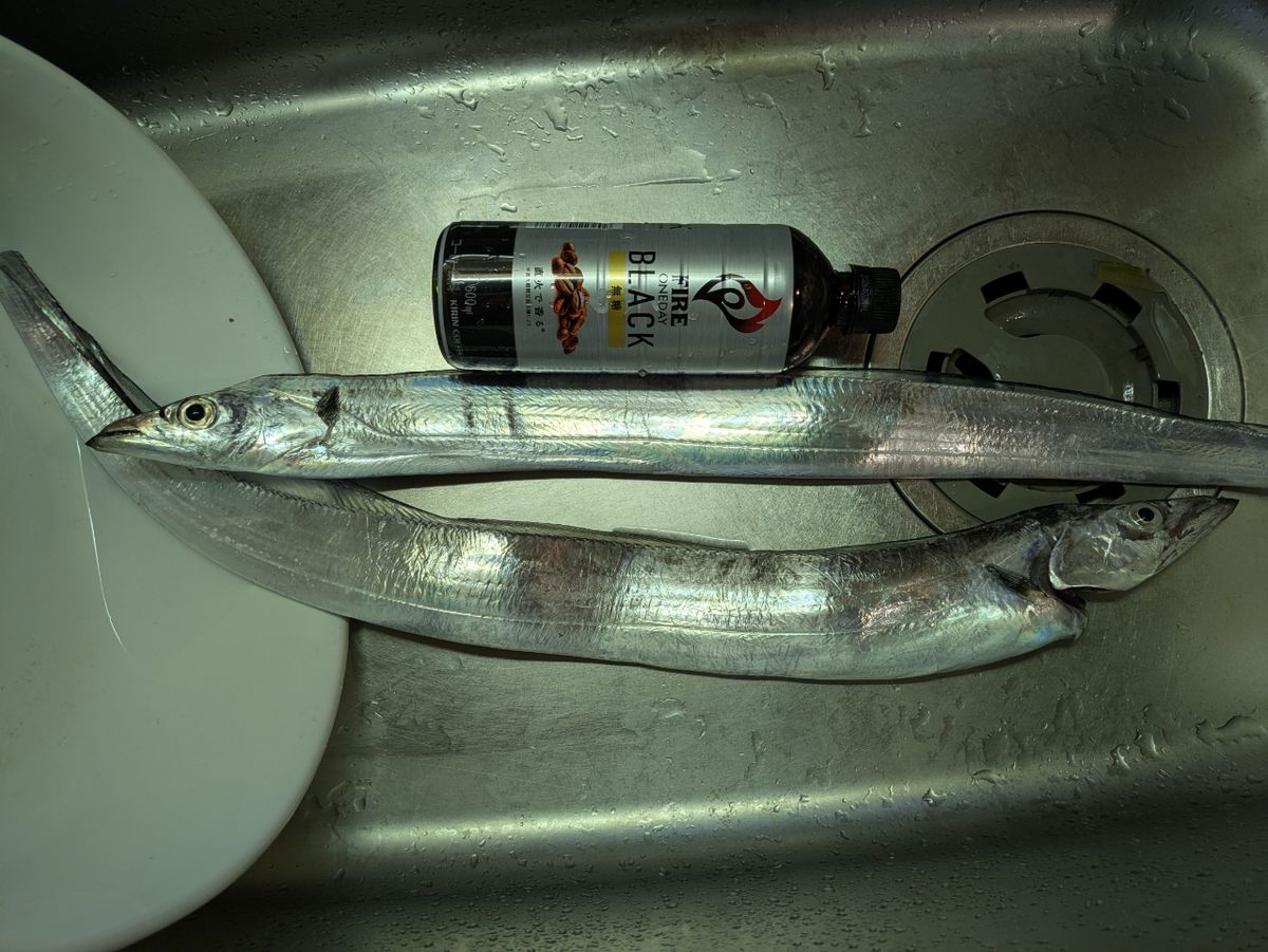 そろそろ釣れるさんの釣果 3枚目の画像