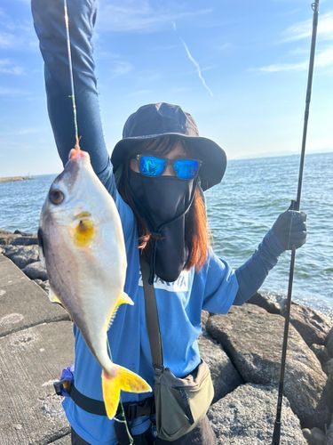 ギマの釣果