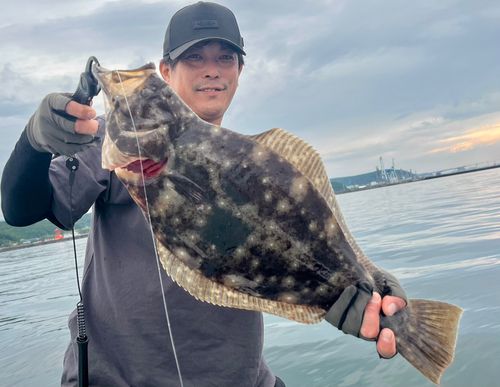 アブラコの釣果
