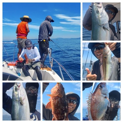 ワラサの釣果