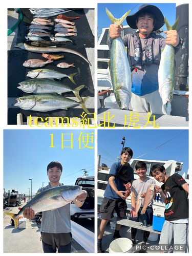シロアマダイの釣果