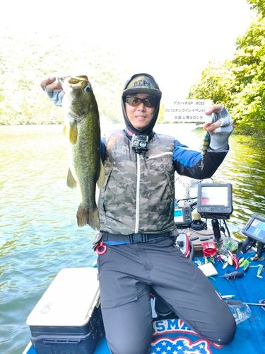 ブラックバスの釣果