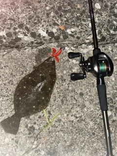 ソゲの釣果