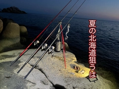 ハチガラの釣果