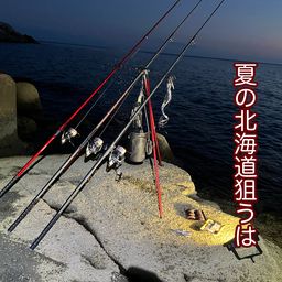 ハチガラ