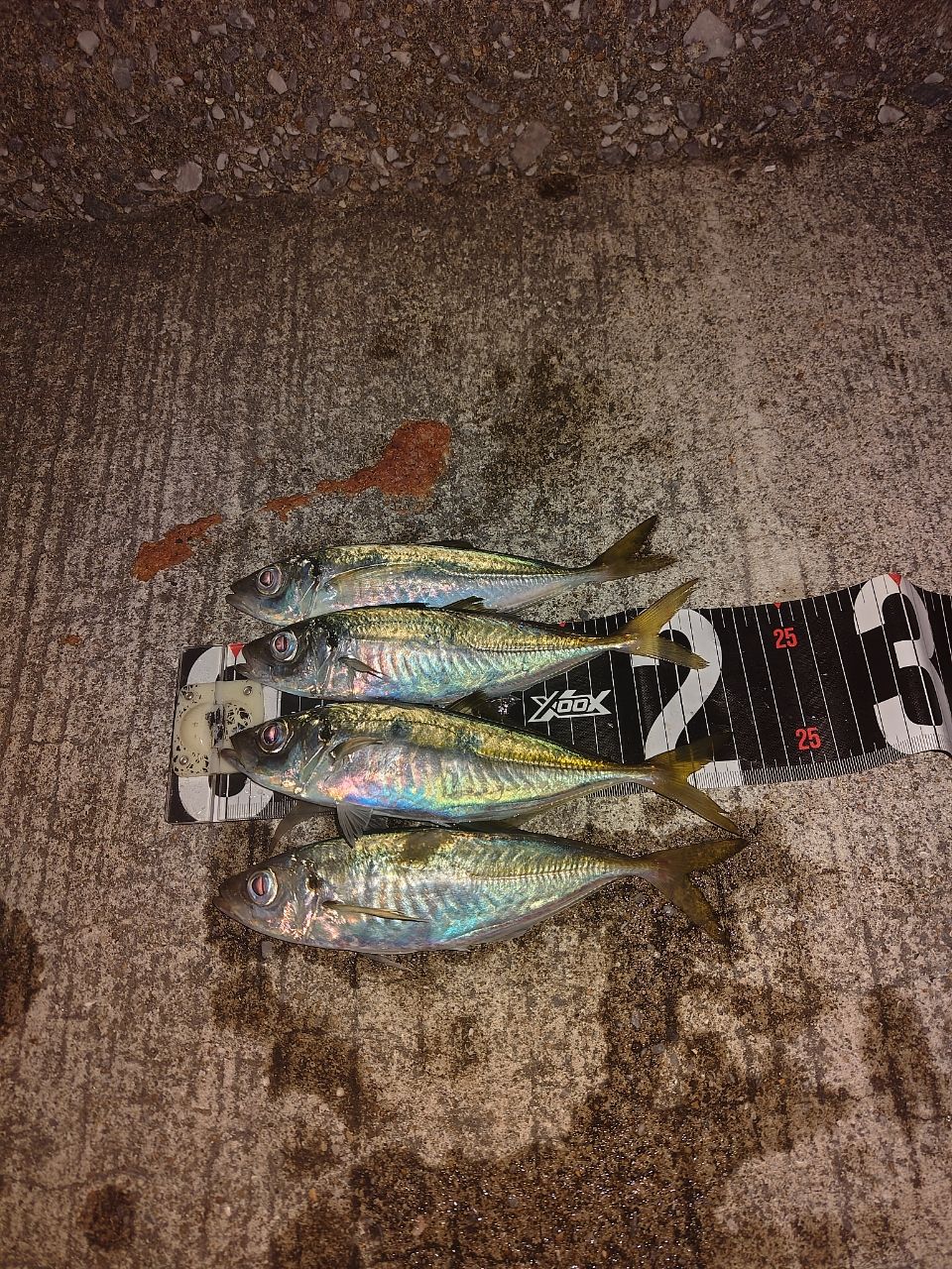 アジ