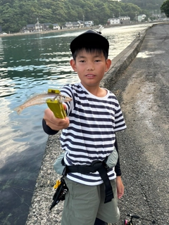 キスの釣果