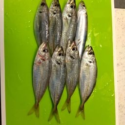 アジ