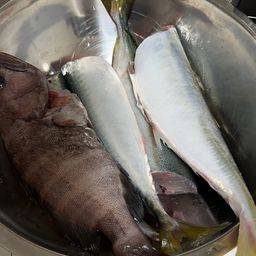 サバ