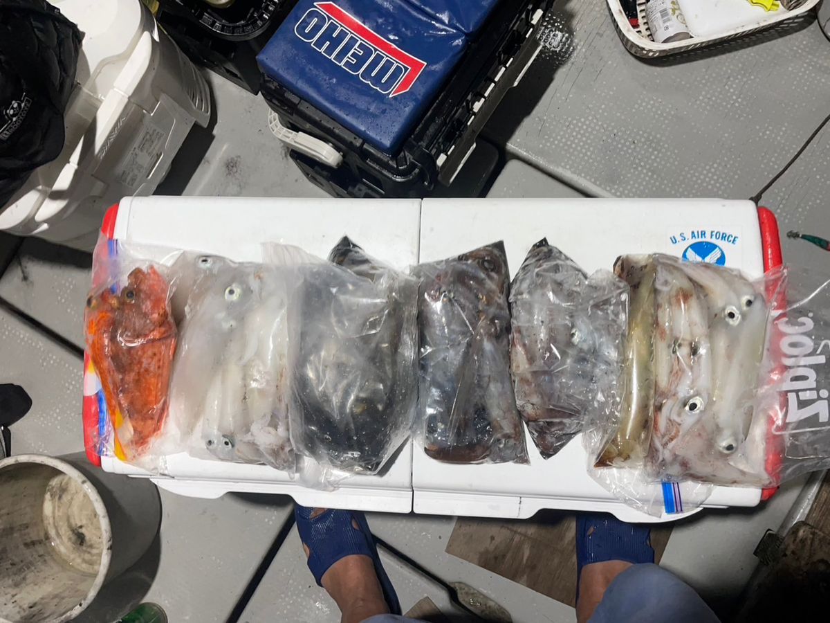 田畑良朗@なつき丸さんの釣果 2枚目の画像