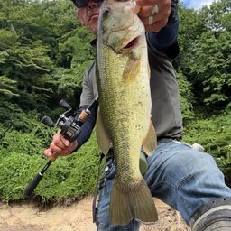 ブラックバス