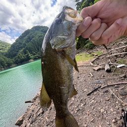 スモールマウスバス