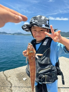アカトラギスの釣果