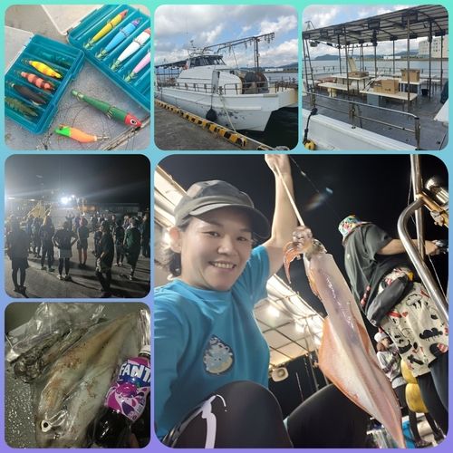 ケンサキイカの釣果