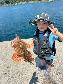 オニカサゴの釣果