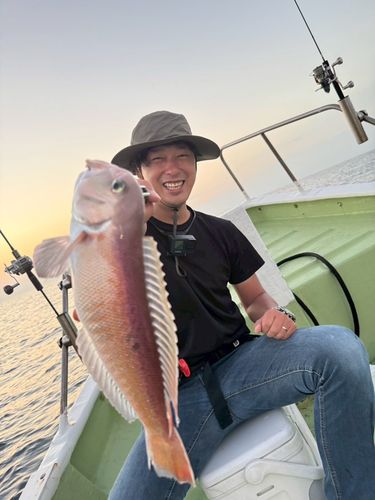 イトヨリダイの釣果