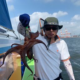 タコ