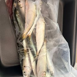 サッパ