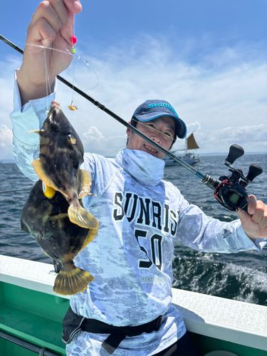 カワハギの釣果