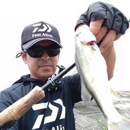 セイゴ（マルスズキ）