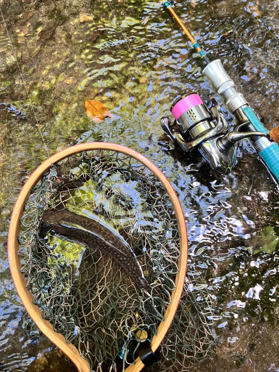 SHIMANO 18ステラ 1000SSSPGの最安値・インプレ・釣果 | 本音の