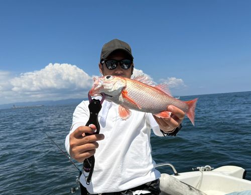 アカムツの釣果