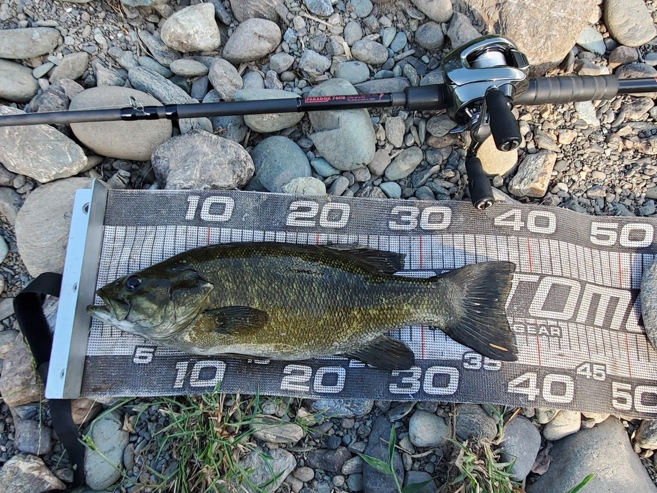 スモールマウスバス