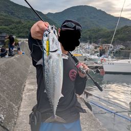 マルソウダ