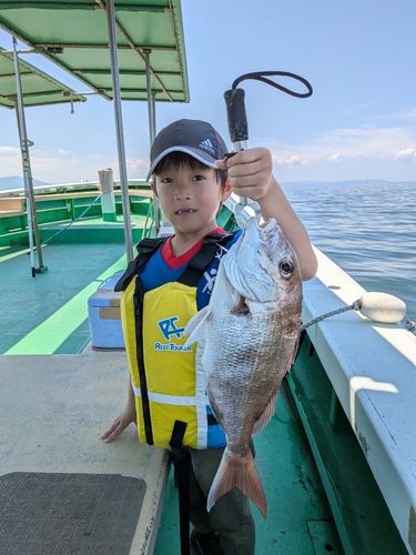 マダイの釣果