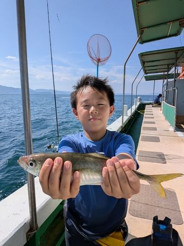 マアジの釣果